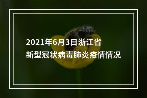 2021年6月3日浙江省新型冠状病毒肺炎疫情情况