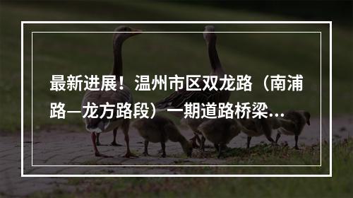 最新进展！温州市区双龙路（南浦路—龙方路段）一期道路桥梁预计9月竣工