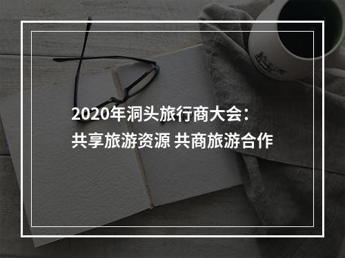 2020年洞头旅行商大会：共享旅游资源 共商旅游合作