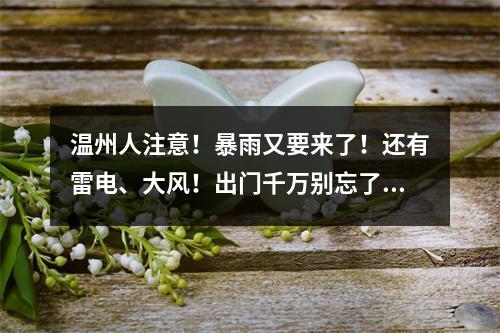 温州人注意！暴雨又要来了！还有雷电、大风！出门千万别忘了……