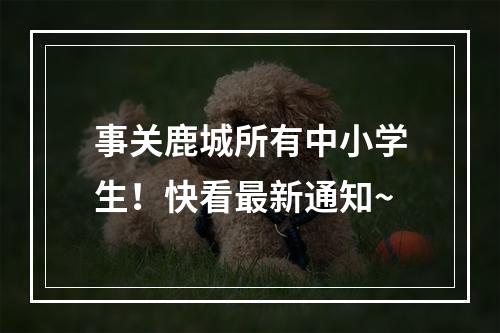 事关鹿城所有中小学生！快看最新通知~