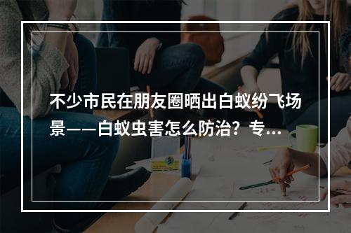 不少市民在朋友圈晒出白蚁纷飞场景——白蚁虫害怎么防治？专家为你支招
