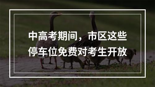 中高考期间，市区这些停车位免费对考生开放