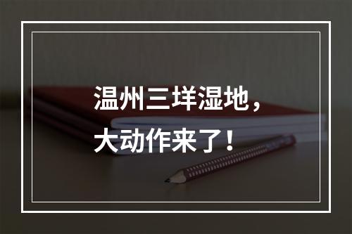 温州三垟湿地，大动作来了！