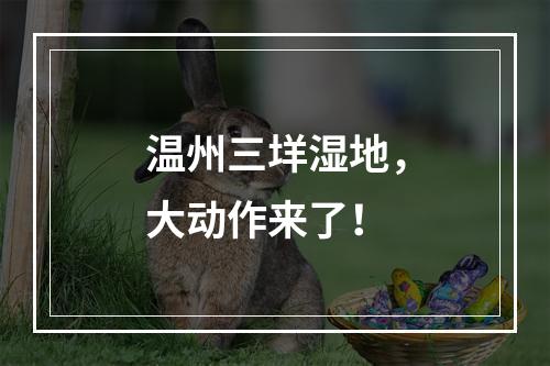 温州三垟湿地，大动作来了！