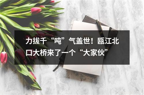 力拔千“吨”气盖世！瓯江北口大桥来了一个“大家伙”