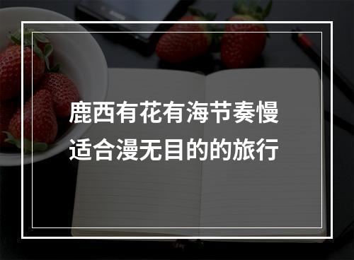鹿西有花有海节奏慢 适合漫无目的的旅行