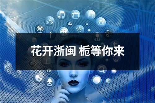 花开浙闽 栀等你来