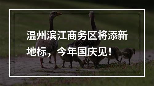 温州滨江商务区将添新地标，今年国庆见！