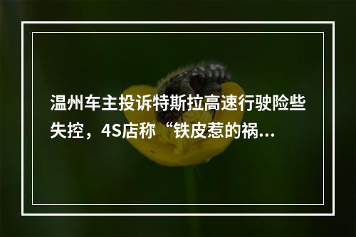 温州车主投诉特斯拉高速行驶险些失控，4S店称“铁皮惹的祸”