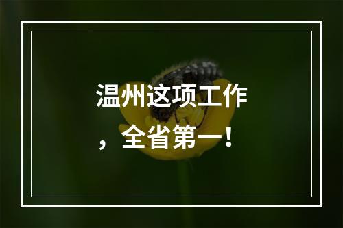 温州这项工作，全省第一！