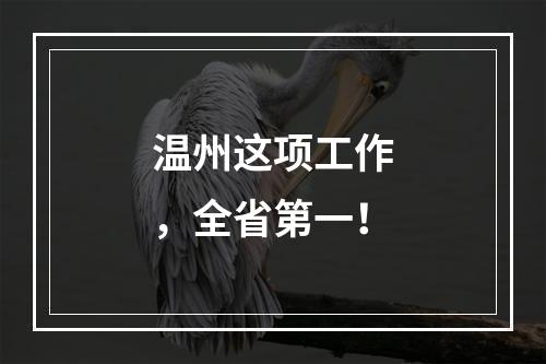 温州这项工作，全省第一！