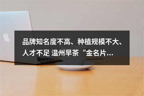 品牌知名度不高、种植规模不大、人才不足 温州早茶“金名片”如何再擦亮？