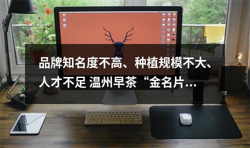 品牌知名度不高、种植规模不大、人才不足 温州早茶“金名片”如何再擦亮？