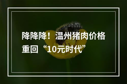 降降降！温州猪肉价格重回“10元时代”