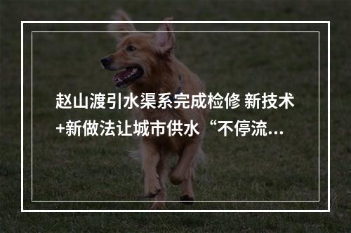 赵山渡引水渠系完成检修 新技术+新做法让城市供水“不停流”
