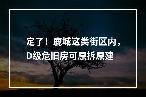定了！鹿城这类街区内，D级危旧房可原拆原建