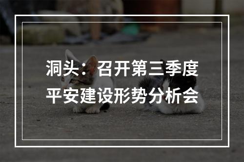 洞头：召开第三季度平安建设形势分析会