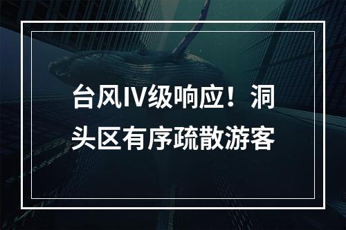台风Ⅳ级响应！洞头区有序疏散游客