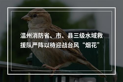 温州消防省、市、县三级水域救援队严阵以待迎战台风“烟花”