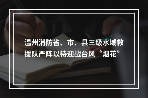 温州消防省、市、县三级水域救援队严阵以待迎战台风“烟花”