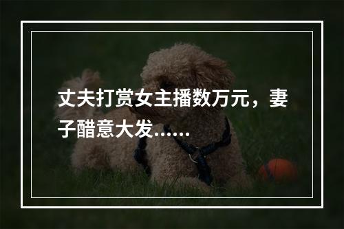 丈夫打赏女主播数万元，妻子醋意大发......