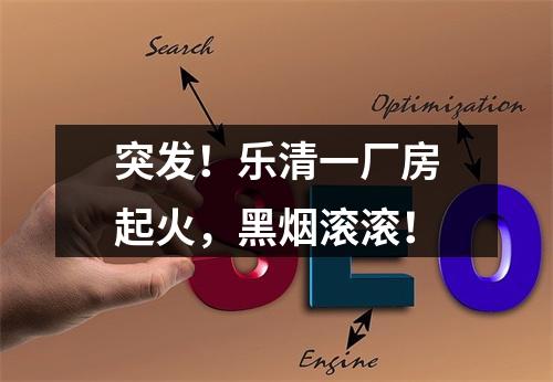 突发！乐清一厂房起火，黑烟滚滚！