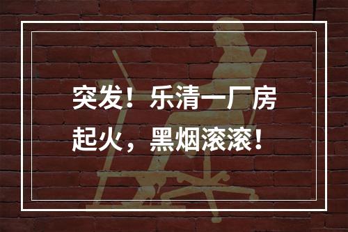 突发！乐清一厂房起火，黑烟滚滚！