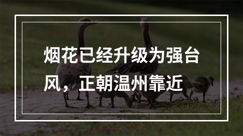 烟花已经升级为强台风，正朝温州靠近
