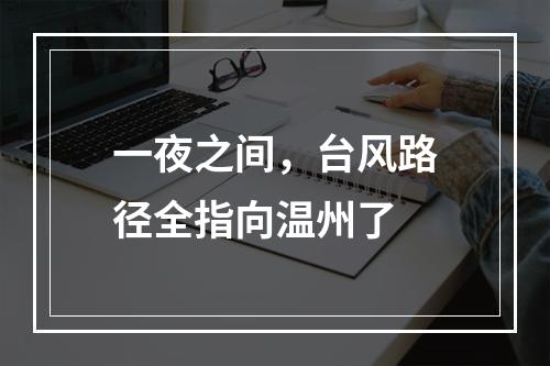 一夜之间，台风路径全指向温州了