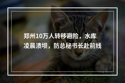 郑州10万人转移避险，水库凌晨溃坝，防总秘书长赴前线