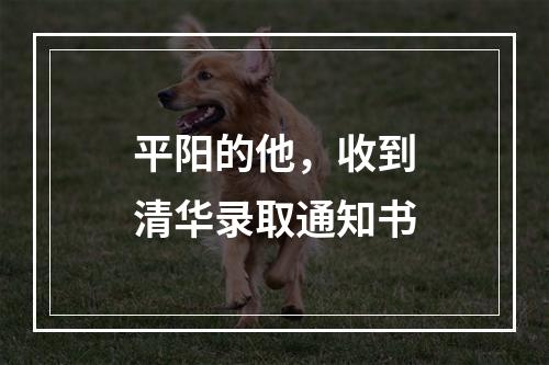 平阳的他，收到清华录取通知书