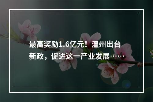 最高奖励1.6亿元！温州出台新政，促进这一产业发展……