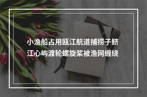 小渔船占用瓯江航道捕捞子鲚 江心屿渡轮螺旋桨被渔网缠绕