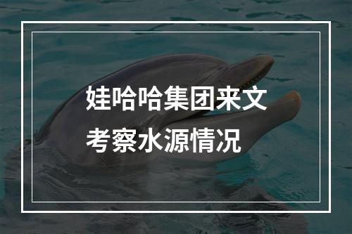 娃哈哈集团来文考察水源情况