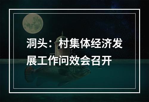 洞头：村集体经济发展工作问效会召开