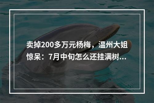 卖掉200多万元杨梅，温州大姐惊呆：7月中旬怎么还挂满树？太甜了！