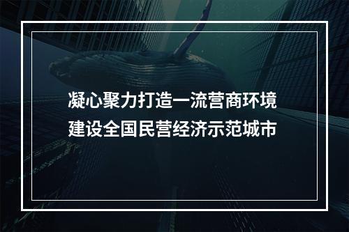 凝心聚力打造一流营商环境 建设全国民营经济示范城市