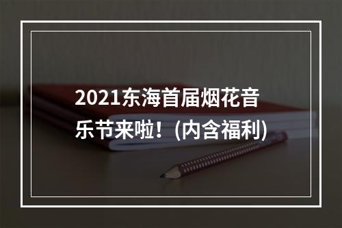 2021东海首届烟花音乐节来啦！(内含福利)