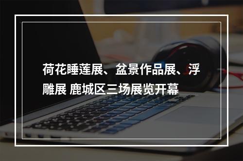荷花睡莲展、盆景作品展、浮雕展 鹿城区三场展览开幕