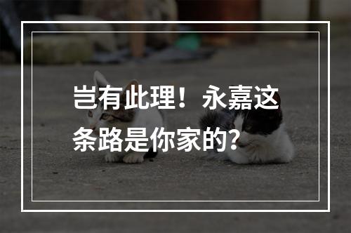 岂有此理！永嘉这条路是你家的？