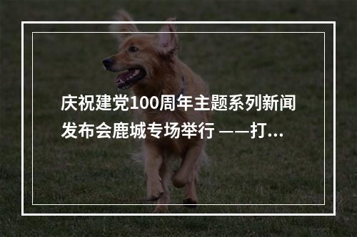 庆祝建党100周年主题系列新闻发布会鹿城专场举行 ——打造共同富裕样板城区