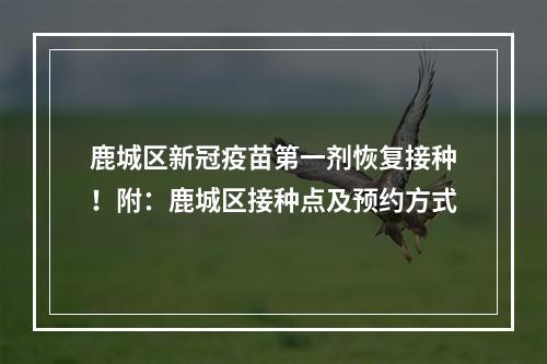 鹿城区新冠疫苗第一剂恢复接种！附：鹿城区接种点及预约方式