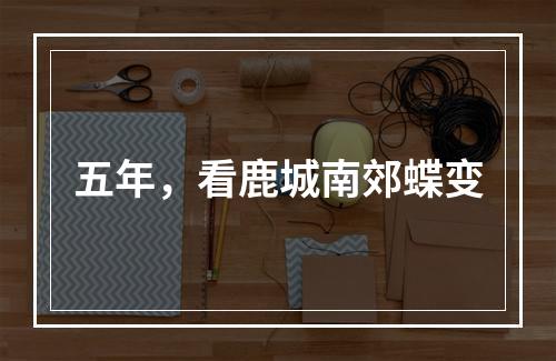 五年，看鹿城南郊蝶变