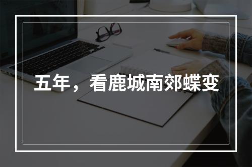 五年，看鹿城南郊蝶变