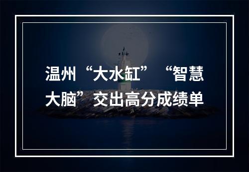 温州“大水缸”“智慧大脑”交出高分成绩单