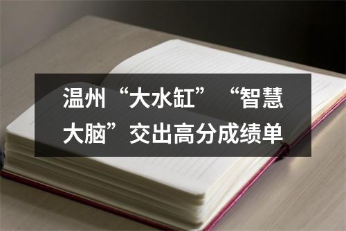 温州“大水缸”“智慧大脑”交出高分成绩单