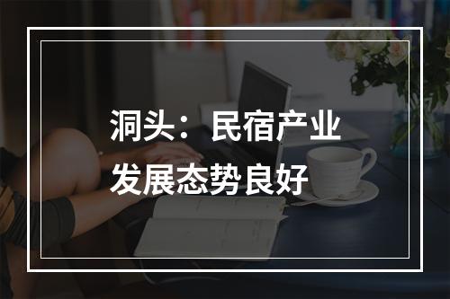 洞头：民宿产业发展态势良好