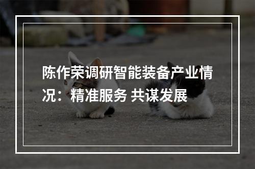 陈作荣调研智能装备产业情况：精准服务 共谋发展