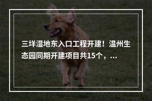 三垟湿地东入口工程开建！温州生态园同期开建项目共15个，总投资44.55亿元
